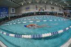 Swimming & Diving vs Babson  Swimming & Diving vs Babson College. - Photo by Keith Nordstrom : Wheaton, Swimming